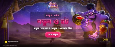 জিনি এবং ৩টি বিশেষ ইচ্ছা